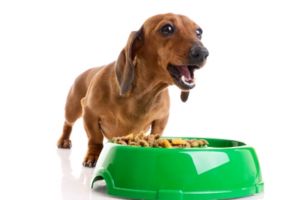 luvico is ook goed voor dieren