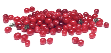 al lang broemd veenbessen of cranberries