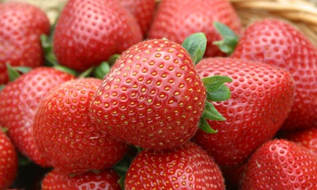 aardbeien zijn gezond en lekker - ook in Luvico