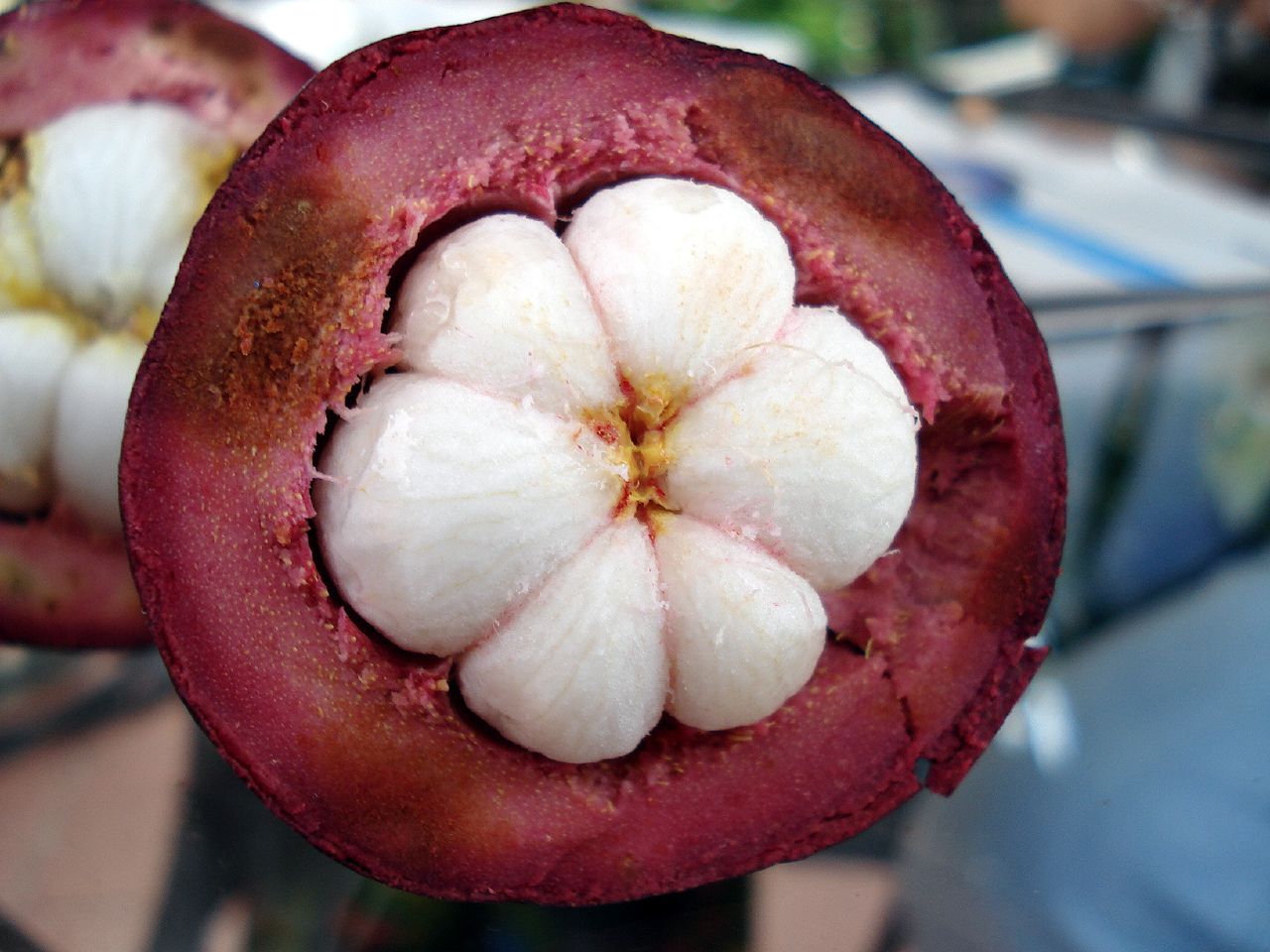 natuurlijk vol met mangosteen vrucht van Organic plantages!