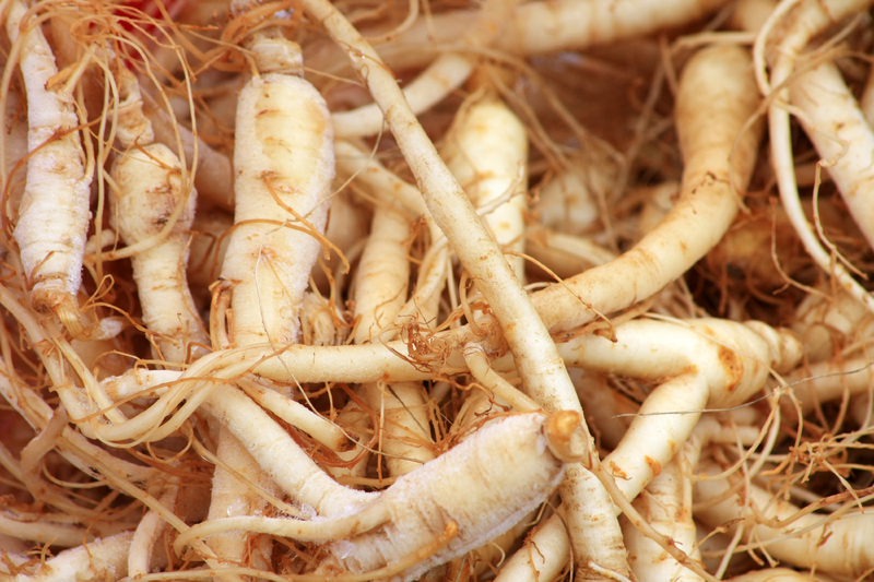 bron van energie: ginseng wortel