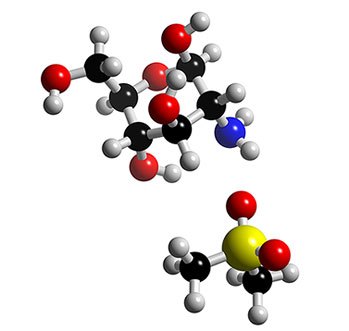 msm glucosamione chondroitine