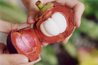 mangosteen gezonde vrucht