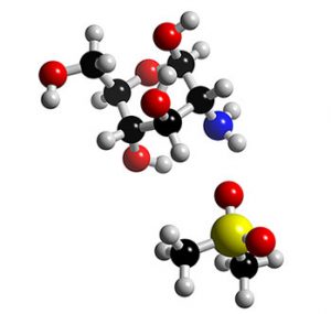 msm glucosamine