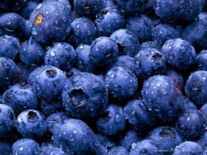 blauwe bessen blueberries