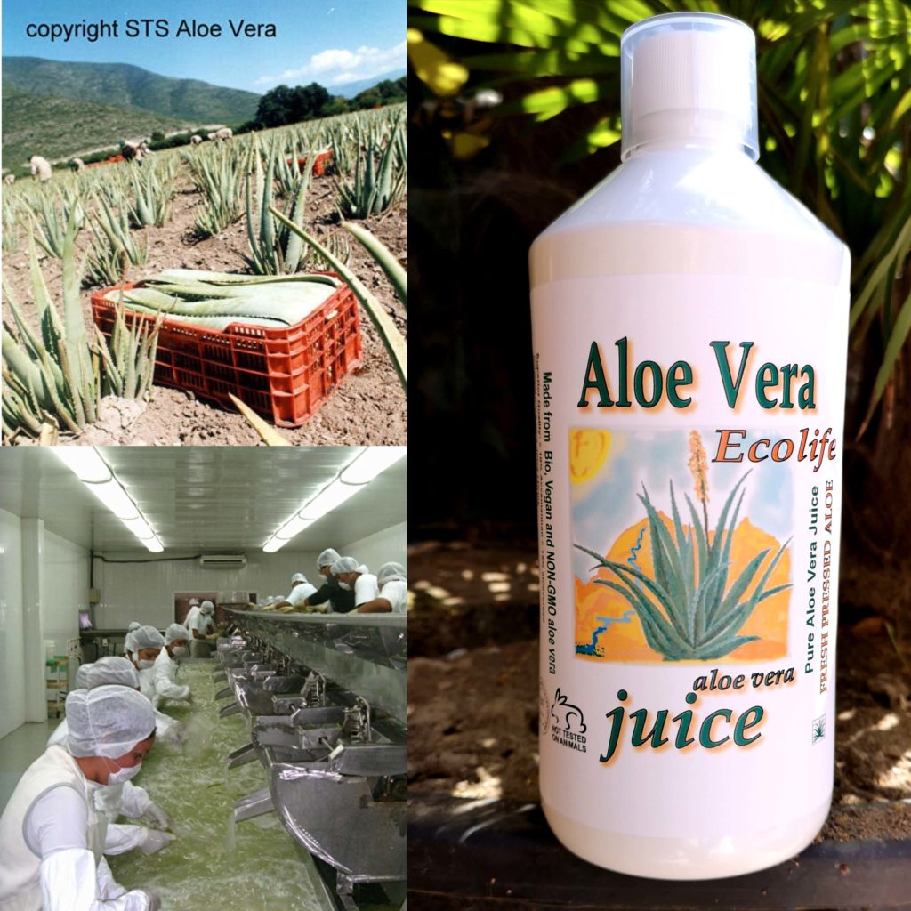 aloe vera sap juice