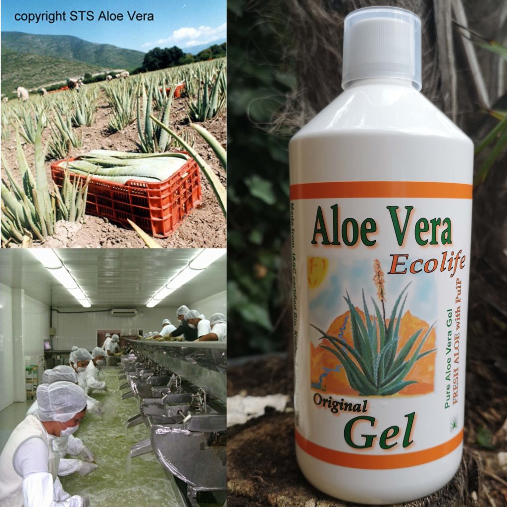 Aloe vera gel - Ecolife aloë puur